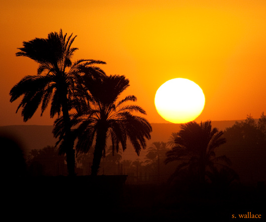 Nile Sunset copy